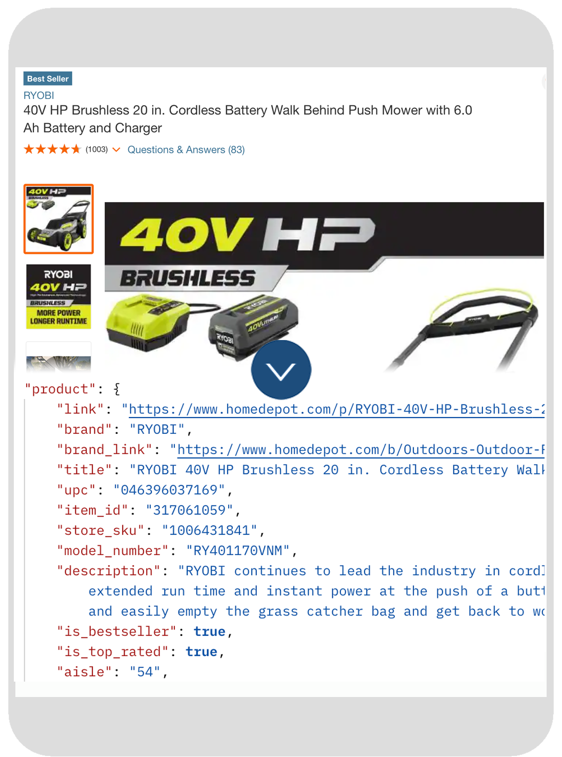 BigBox API Home Depot Product Data API